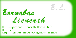 barnabas lienerth business card